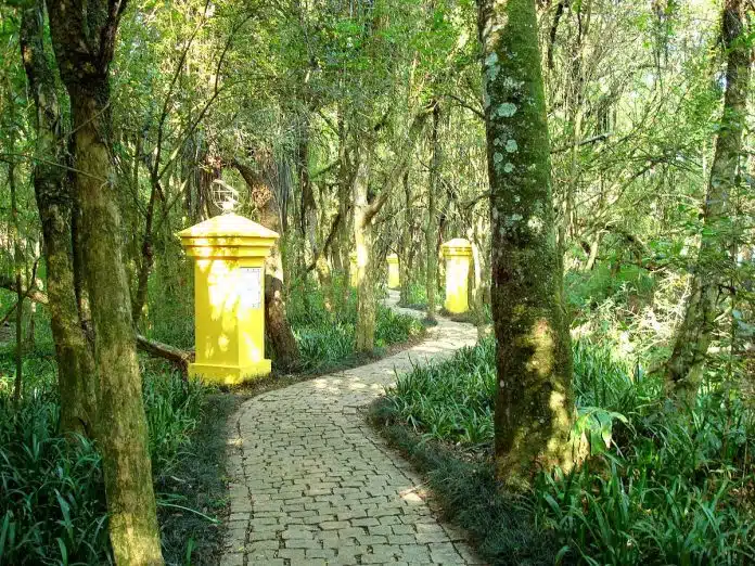 bosque O que importa em sua vida? Este teste vai ajudá-lo a descobrir!
