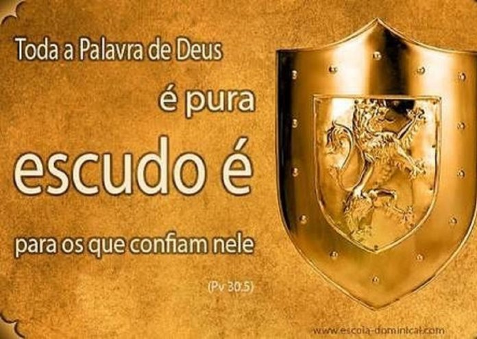 escudo