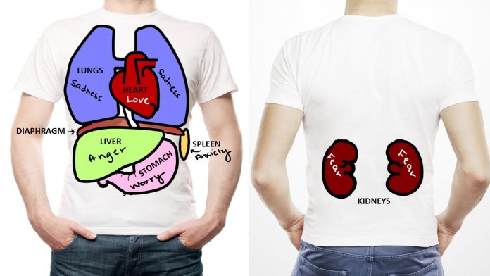 Como nossos órgãos se relacionam com nossas emoções