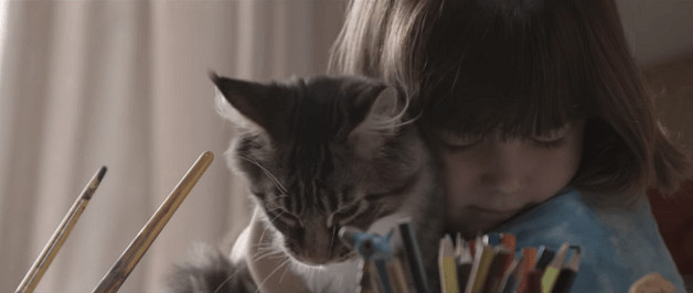 bemmaismulher.com - Vídeo retrata menina autista e seu gato de terapia, e desafia pessoas a contar suas histórias com gatos