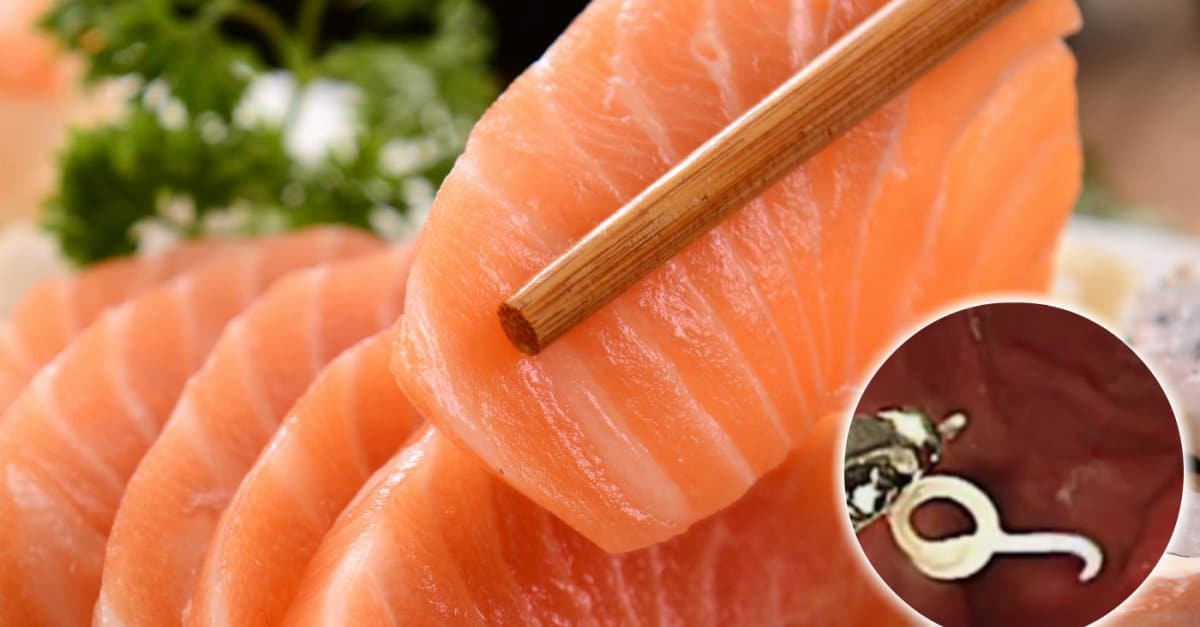 larva-no-sashimi-0816-1400×800
