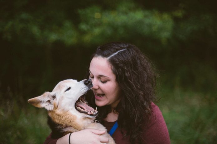 Mulher faz ensaio fotográfico para mostrar últimos dias com seu cão de estimação