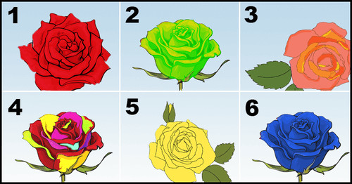 bemmaismulher.com - Escolha a rosa mais bonita e descubra os mais belos segredos da sua personalidade...