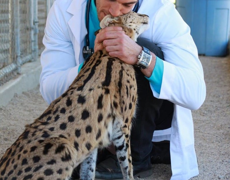 bemmaismulher.com - Ele parece um veterinário comum, mas foi escolhido como o veterinário mais charmoso do mundo