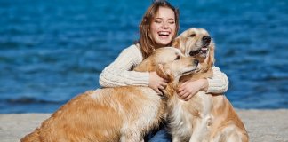 Estudo mostra que cães amam os donos como se fossem membros de sua família