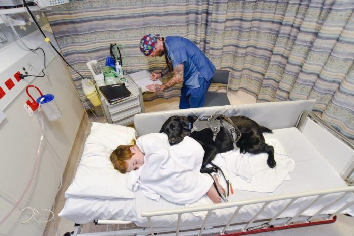 Mesmo em hospital cão não abandona seu dono autista