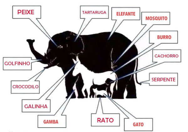 bemmaismulher.com - Só pessoas com QI superior a 120 observam mais de 6 animais, Quantos você vê?