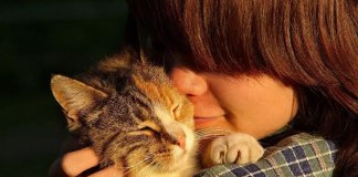 Gatoterapia: 5 benefícios de viver com um gato