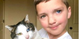 Garoto sofre bullying por sua aparência e adota gato com a mesma condição