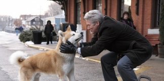 Novos estudos revelam que os humanos amam mais os cães que as pessoas