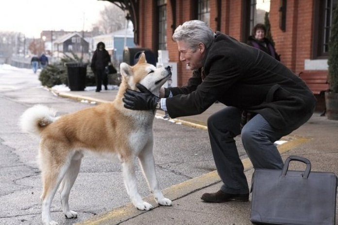 Novos estudos revelam que os humanos amam mais os cães que as pessoas