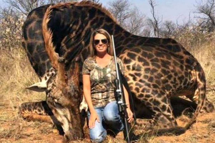 Após abater uma girafa negra muito rara, caçadora posta foto na internet e todos ficam indignados