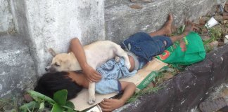 Criança adota um cão de rua para evitar estar sozinho e sua amizade comove milhares de pessoas