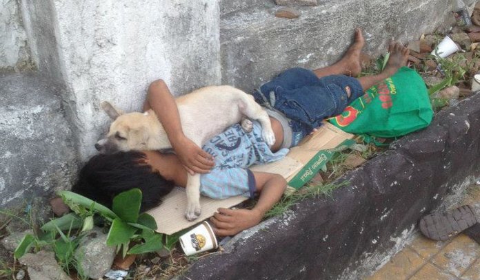 Criança adota um cão de rua para evitar estar sozinho e sua amizade comove milhares de pessoas