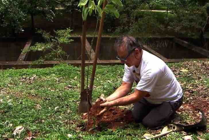 bemmaismulher.com - Ele já plantou mais de 20 mil árvores em uma área degradada e devolveu sua vida. Agora é um lindo parque