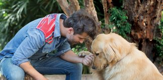 O ator Bruno Gagliasso constrói casa de recuperação para animais