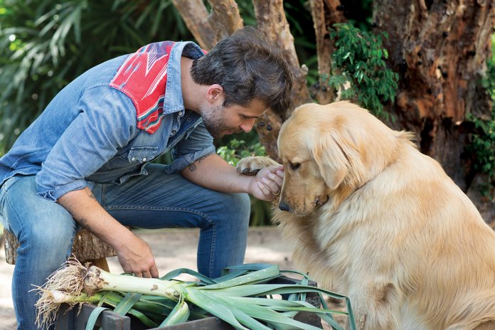 O ator Bruno Gagliasso constrói casa de recuperação para animais