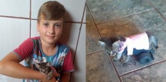 Menino de 9 anos faz carrinho para gato andar novamente e emociona na rede social