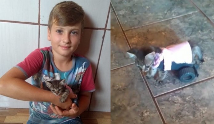 Menino de 9 anos faz carrinho para gato andar novamente e emociona na rede social