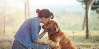 A impressionante missão espiritual dos cães nas nossas vidas