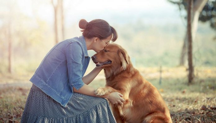 A impressionante missão espiritual dos cães nas nossas vidas