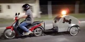 Homem cria a primeira motocicleta-ambulância para cães que vivem na rua