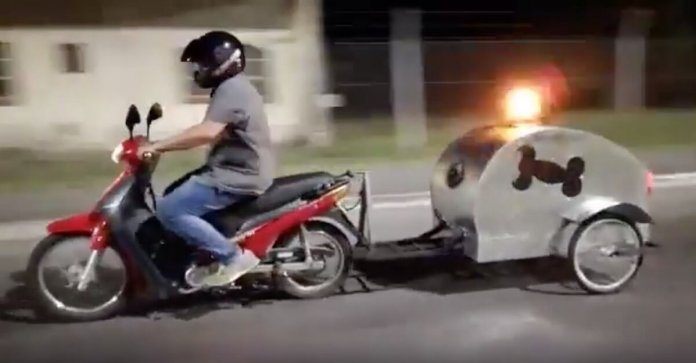 Homem cria a primeira motocicleta-ambulância para cães que vivem na rua