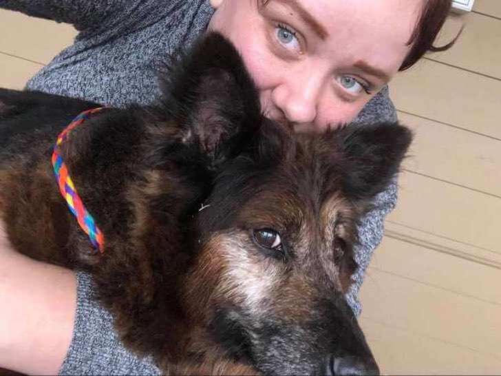 bemmaismulher.com - Ela dirigiu 45 Km até um abrigo de animais sem saber porque. Sua atitude salvou um cãozinho!