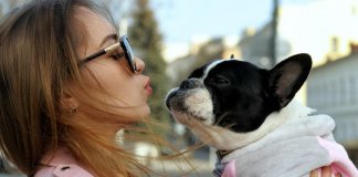 Estudo revela que cães imitam a personalidade dos donos