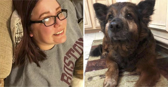 Ela dirigiu 45 Km até um abrigo de animais sem saber porque. Sua atitude salvou um cãozinho!