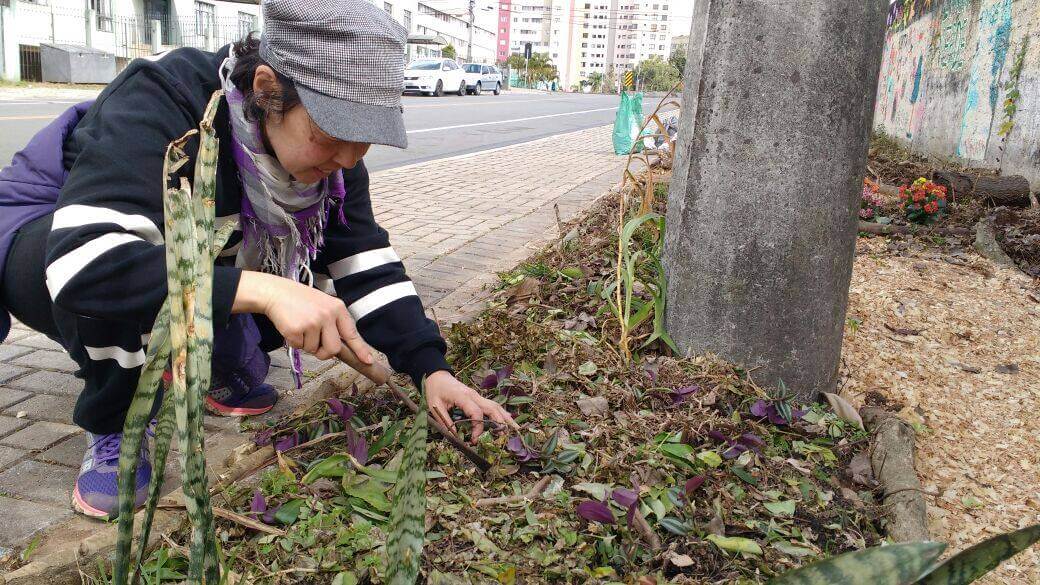 bemmaismulher.com - Curitiba libera cultivo de horta na calçada e vai regulamentar prática