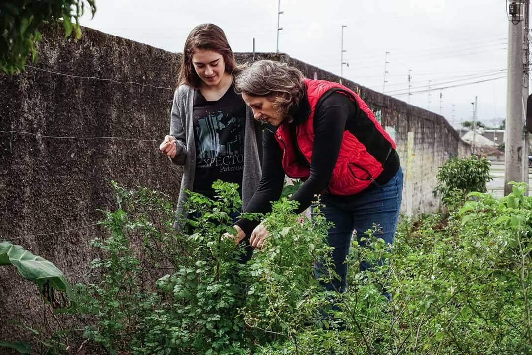 bemmaismulher.com - Curitiba libera cultivo de horta na calçada e vai regulamentar prática