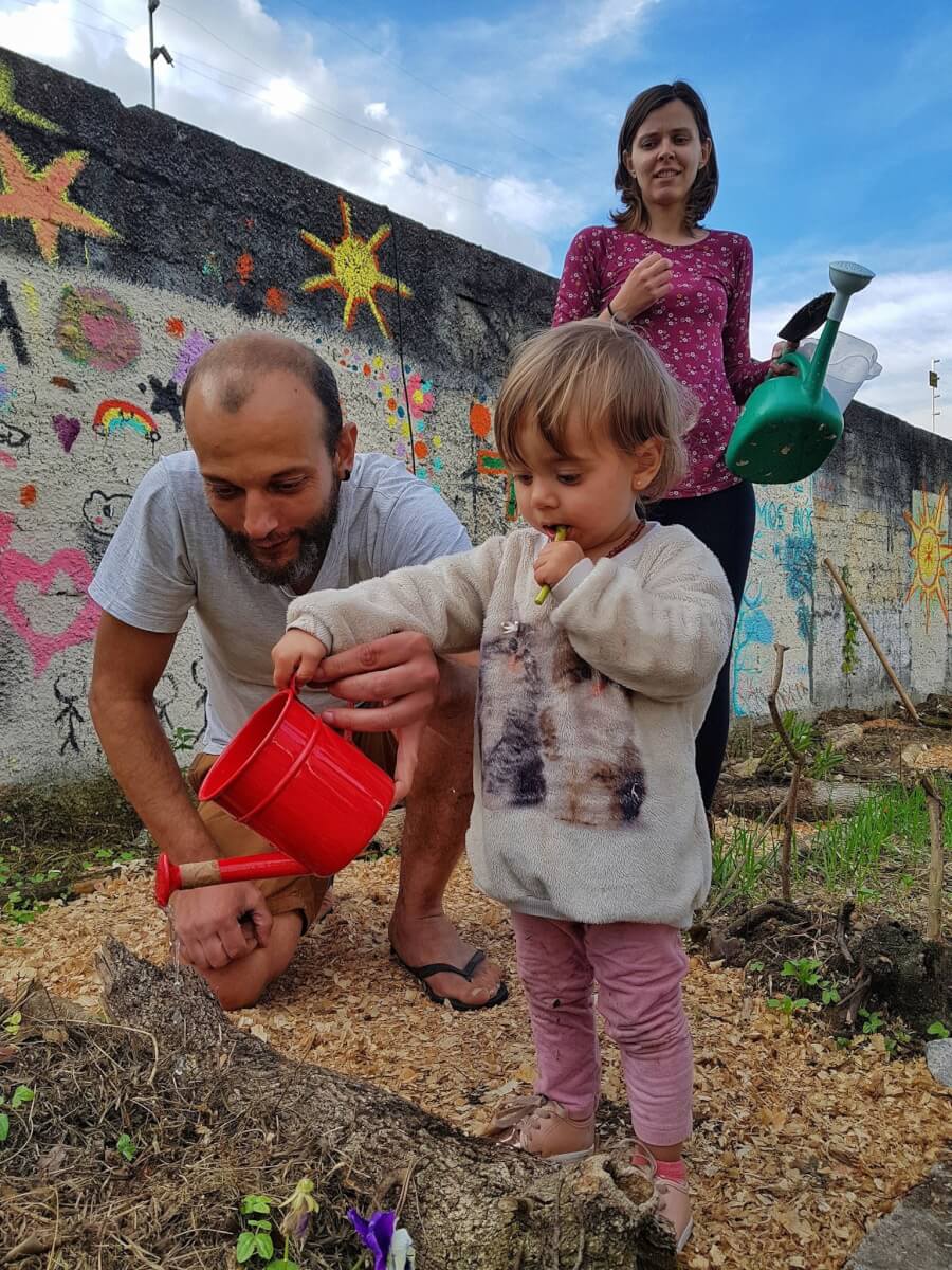 bemmaismulher.com - Curitiba libera cultivo de horta na calçada e vai regulamentar prática