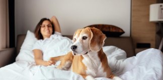 As mulheres dormem melhor com um cão do que com um homem, de acordo com o estudo