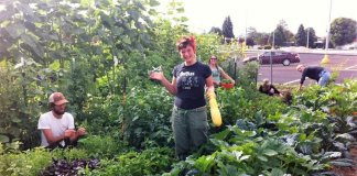 Transformando terrenos baldios em áreas cultivadas. Esse processo está ajudando a combater a depressão