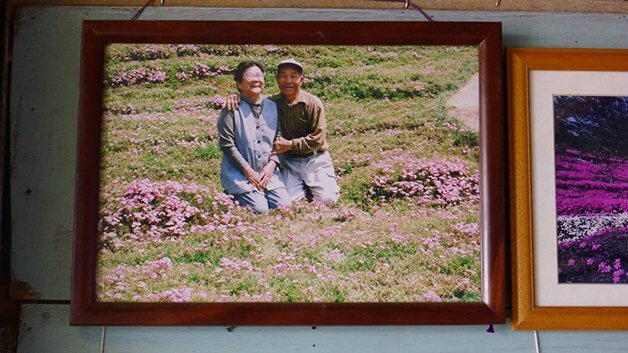 bemmaismulher.com - Japonês passa 2 anos plantando milhares de flores para sua esposa cega poder cheirar