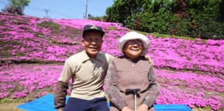 Japonês passa 2 anos plantando milhares de flores para sua esposa cega poder cheirar