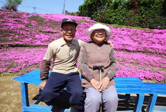 Japonês passa 2 anos plantando milhares de flores para sua esposa cega poder cheirar