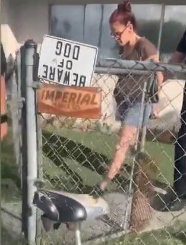 prisao-mulher-cachorros-filhotes-lixo-coachella-23042019133539309