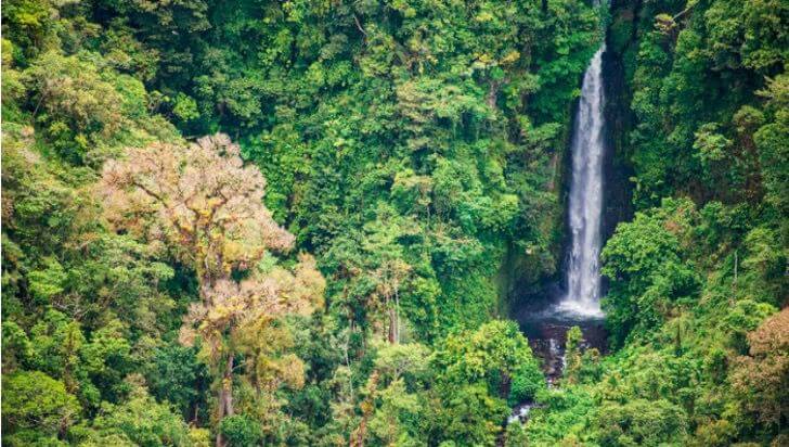 bemmaismulher.com - A Costa Rica duplicou suas florestas em 30 anos. Um milagre verde que eles conseguiram com esforço e trabalho duro