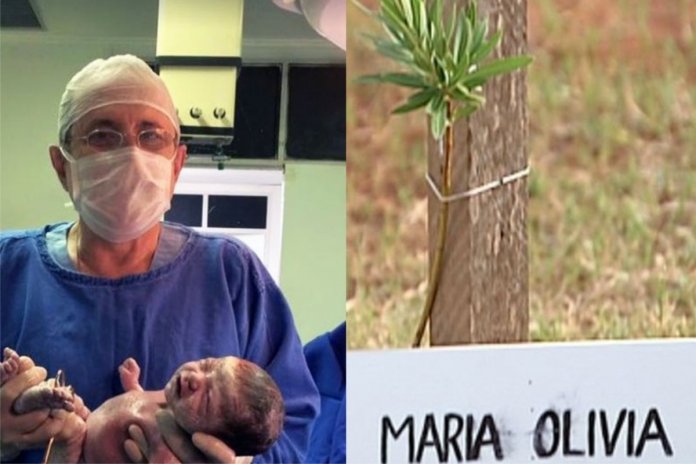 A cada parto feito Médico doa uma muda de árvore; já foram mais de mil