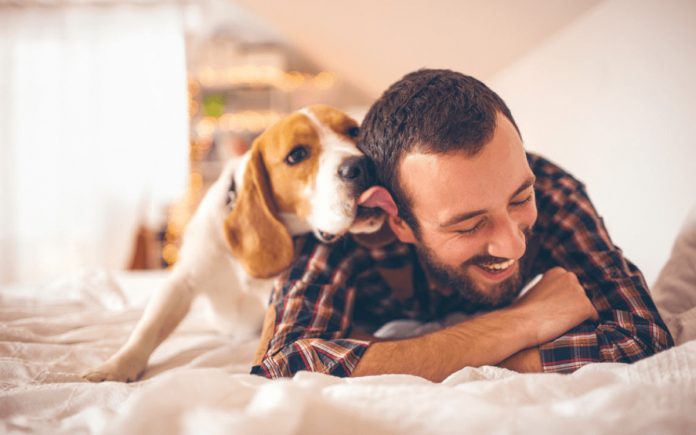6 maneiras que o seu cão demonstra que te ama