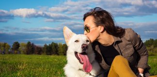 A raça do seu cão revela sua personalidade