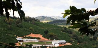 O melhor café do mundo vem de Minas Gerais