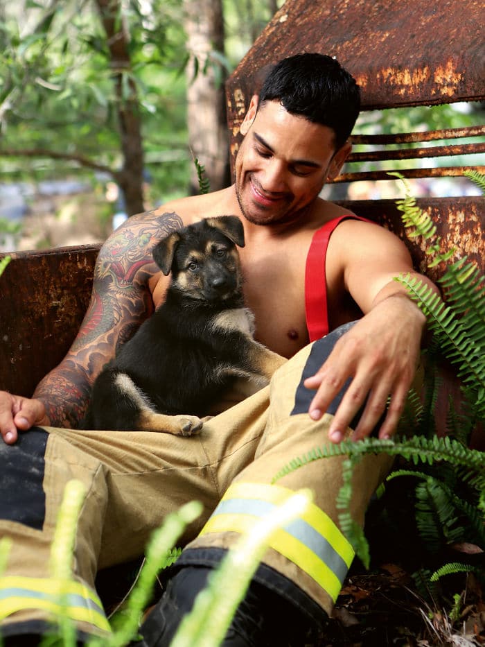 bemmaismulher.com - Bombeiros australianos posam com animais para o calendário de caridade 2020, e as fotos são tão quentes que podem iniciar incêndios