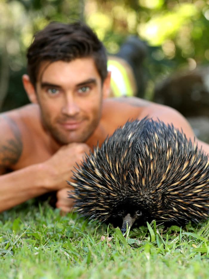 bemmaismulher.com - Bombeiros australianos posam com animais para o calendário de caridade 2020, e as fotos são tão quentes que podem iniciar incêndios