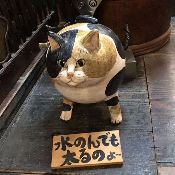 bemmaismulher.com - Há um santuário de gatos no Japão e seus monges são os mais fofos