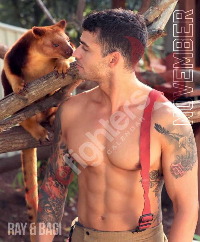 bemmaismulher.com - Bombeiros australianos posam com animais para o calendário de caridade 2020, e as fotos são tão quentes que podem iniciar incêndios