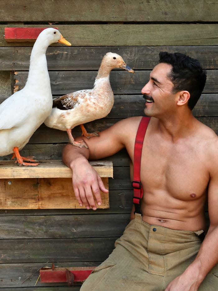 bemmaismulher.com - Bombeiros australianos posam com animais para o calendário de caridade 2020, e as fotos são tão quentes que podem iniciar incêndios