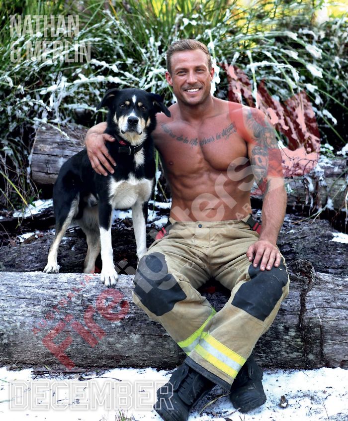 bemmaismulher.com - Bombeiros australianos posam com animais para o calendário de caridade 2020, e as fotos são tão quentes que podem iniciar incêndios